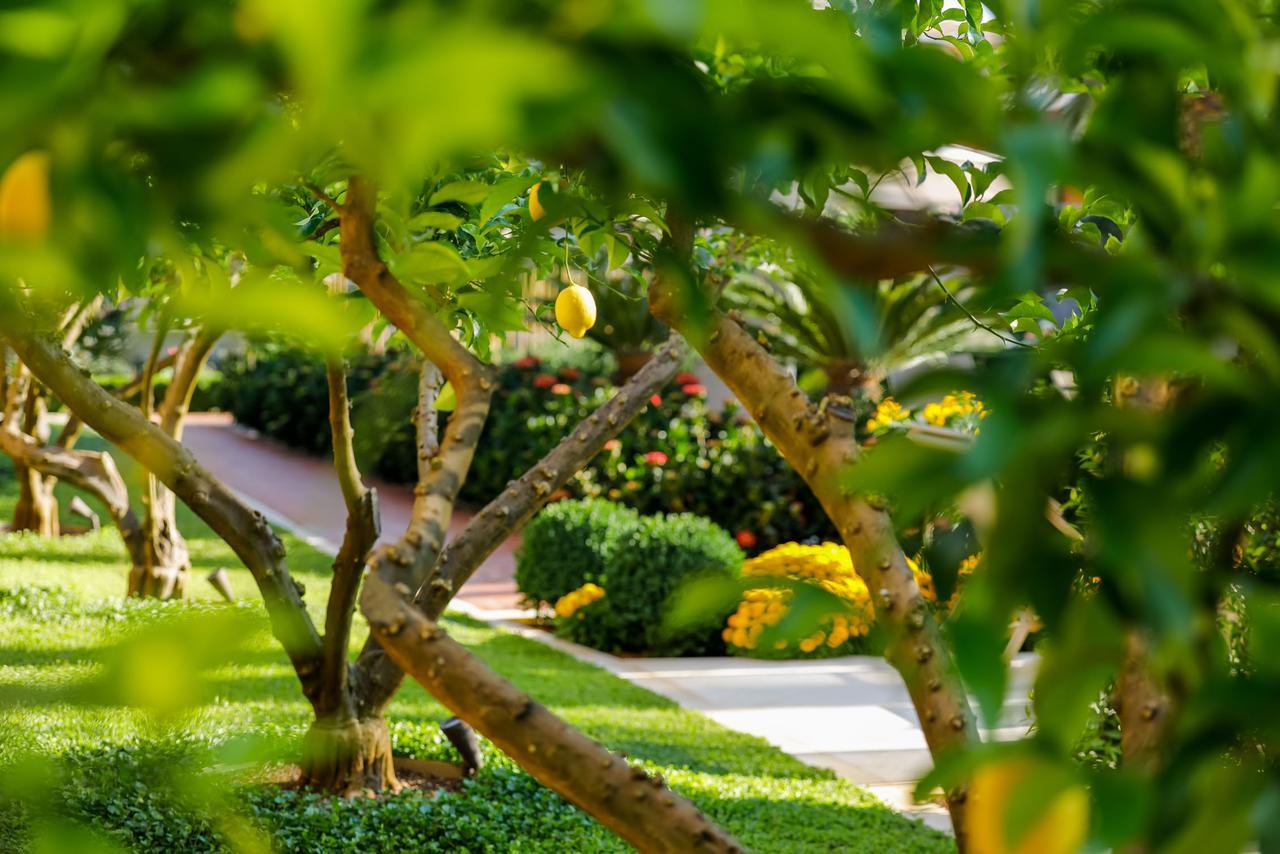 Hotel Lemongarden - Adults Only