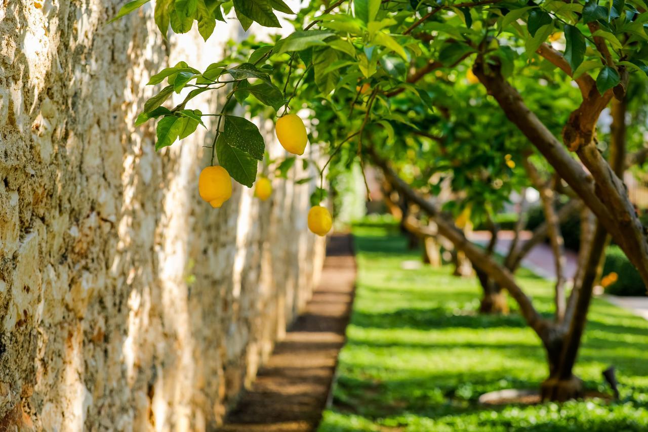 Lemongarden - Adults Only Hotel Sutivan
